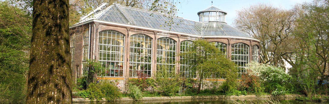 Hortus Botanicus Ámsterdam Descubre el jardín botánico